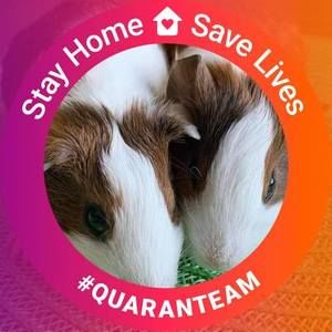 Meet your Posher, Justine